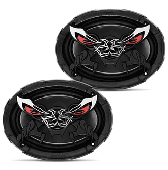 6x9 BICHO PAPAO CUATRIAXIAL 2X125W